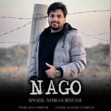 آهنگ جدید امیر گلستانی به نام نگو